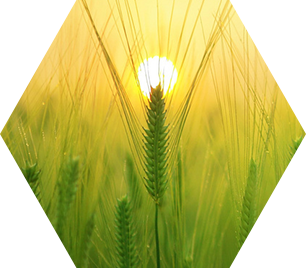 青島潤(rùn)聚祥機(jī)械有限公司官網(wǎng)，河南潤(rùn)聚祥新型材料有限公司，無(wú)紡布設(shè)備，無(wú)紡布機(jī)械，無(wú)紡布生產(chǎn)線(xiàn)，非織造布生產(chǎn)線(xiàn)，紡熔非織造布生產(chǎn)線(xiàn)，熔噴非織造布生產(chǎn)線(xiàn)